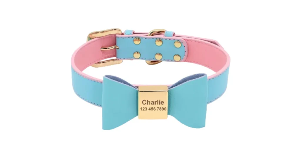 unique female dog collars
