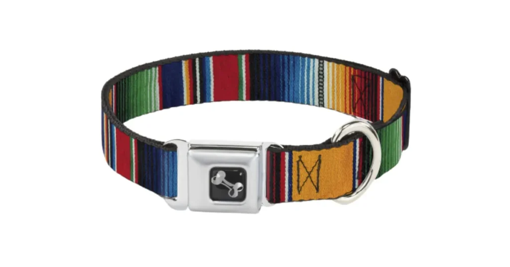 best training collar for beagles
