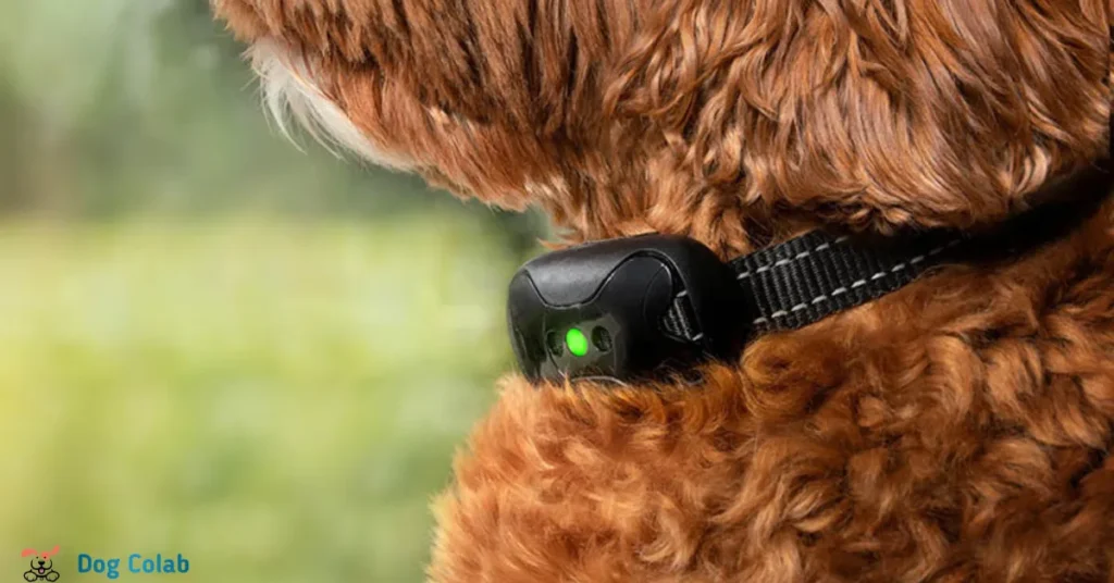 what is static stimulation dog collar
