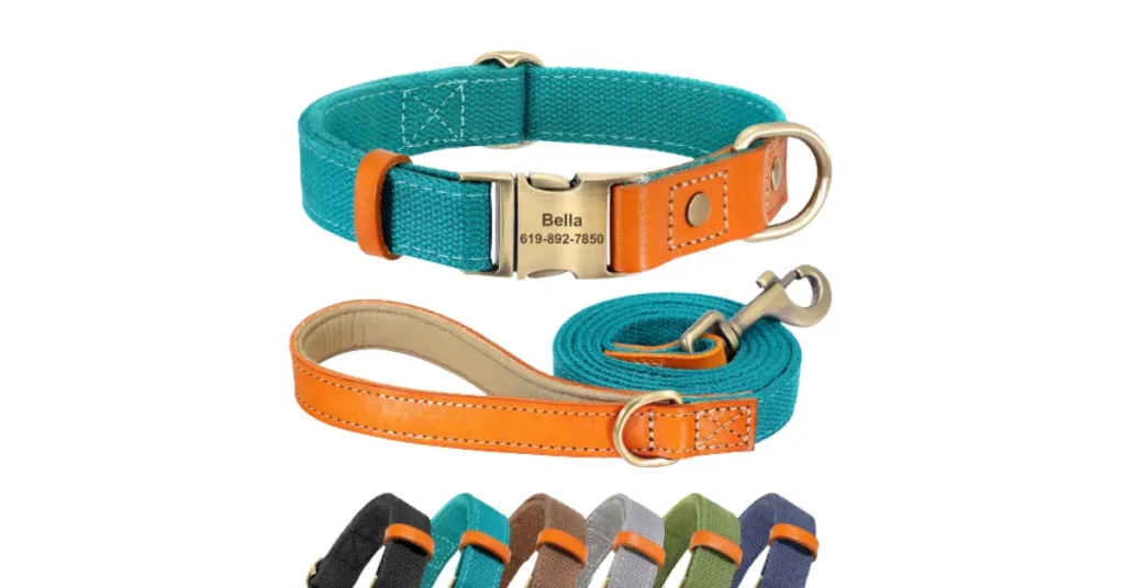 unique dog collars for male dogs
