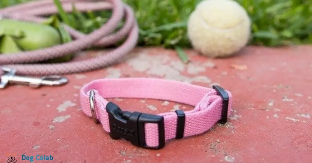 what is the best material for dog collar
