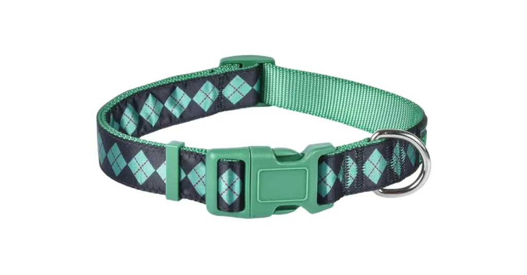 best collar for beagles
