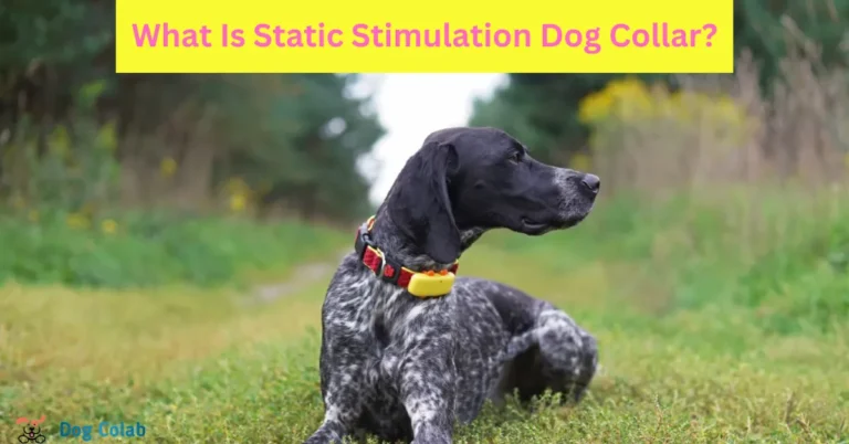 what is static stimulation dog collar