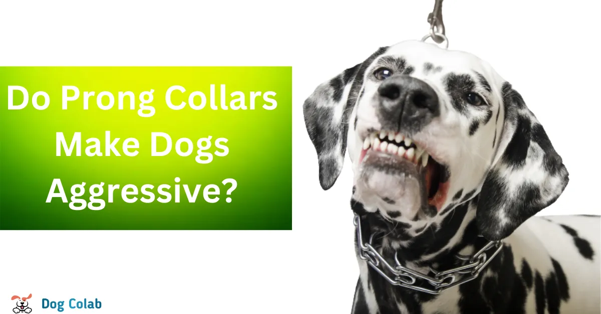 do prong collars make dogs aggressive