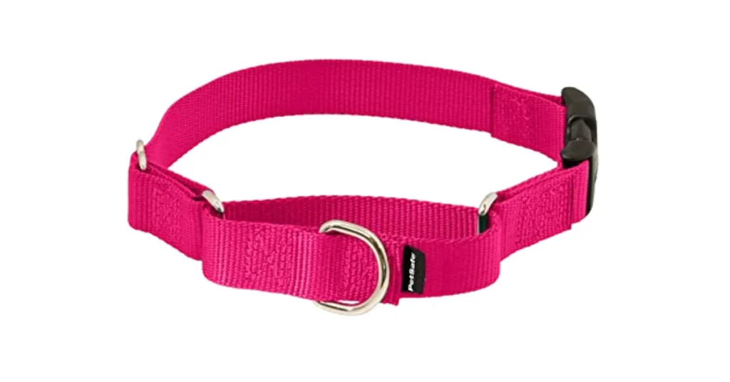 best training collar for beagles
