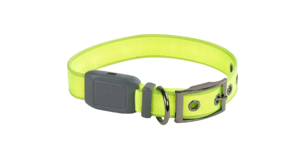 unique dog collars for large dogs
