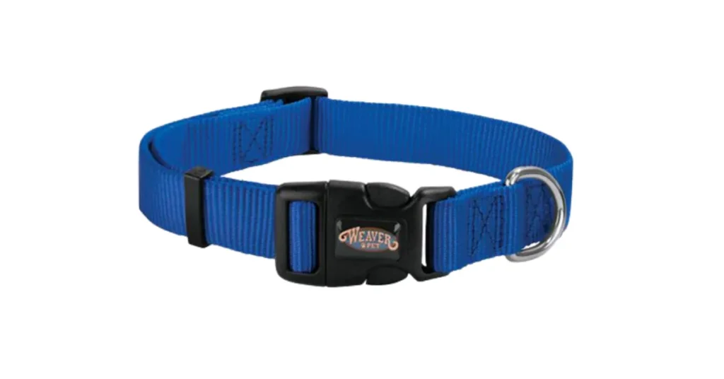 best dog collar for beagles
