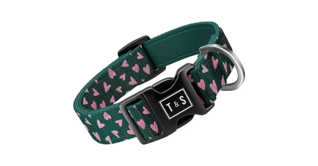 pretty dog collar