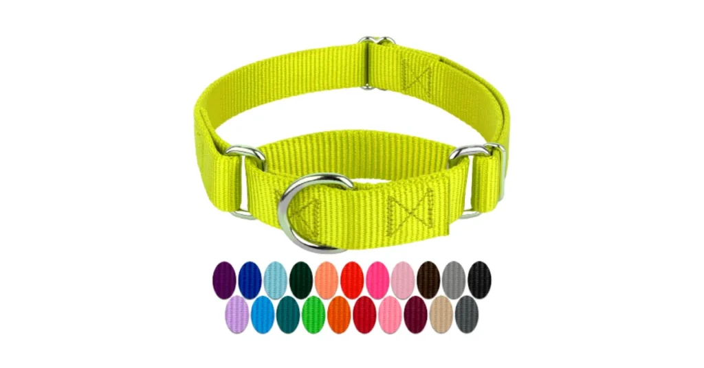 best martingale collar for strong dogs