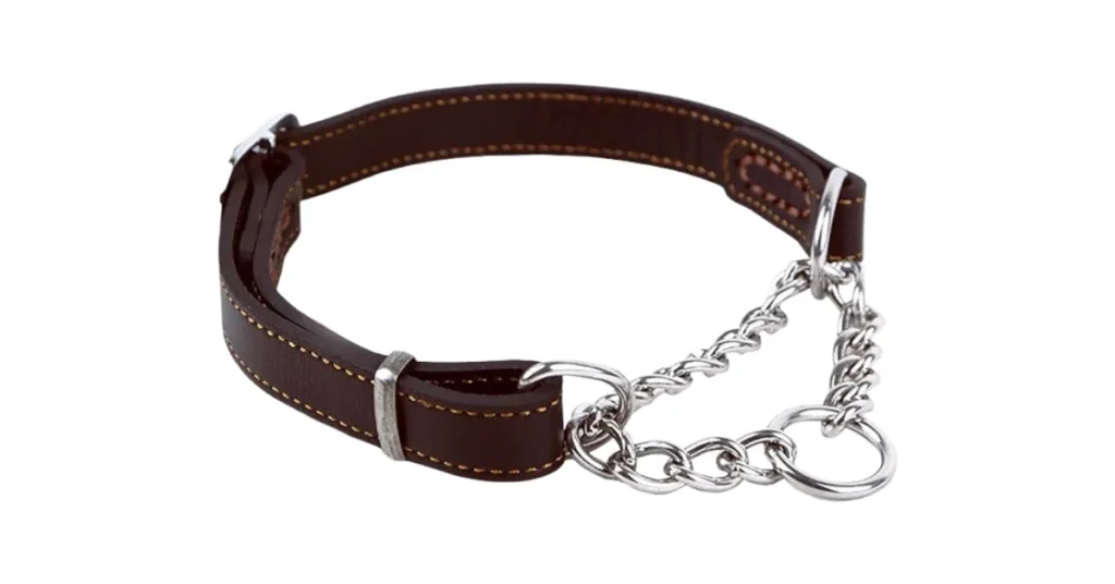 leather martingale collar
