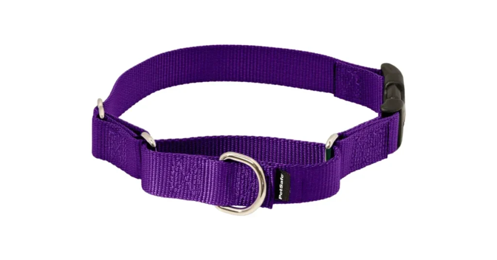 petsafe martingale collar
