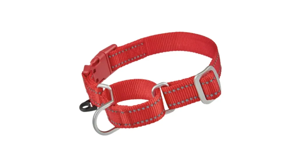 best martingale dog collars
