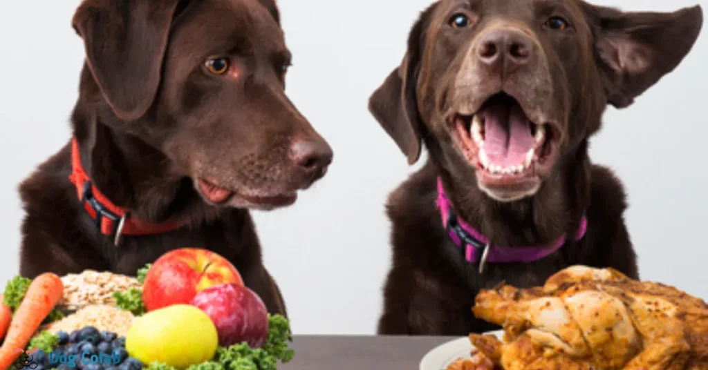 is it ok to share food with your dog
