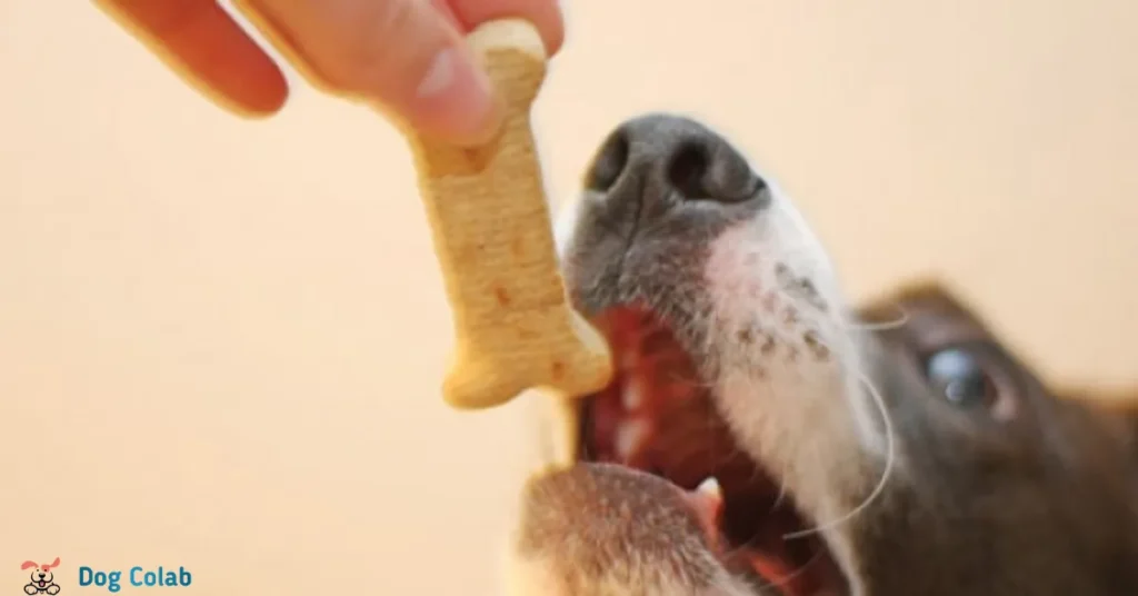 why do dogs like milk bones 
