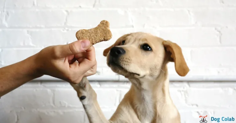 why do dogs like milk bones so much