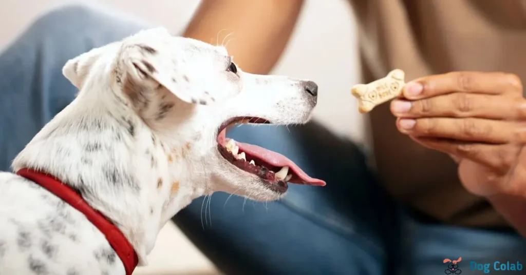 why do dogs love milk bones so much
