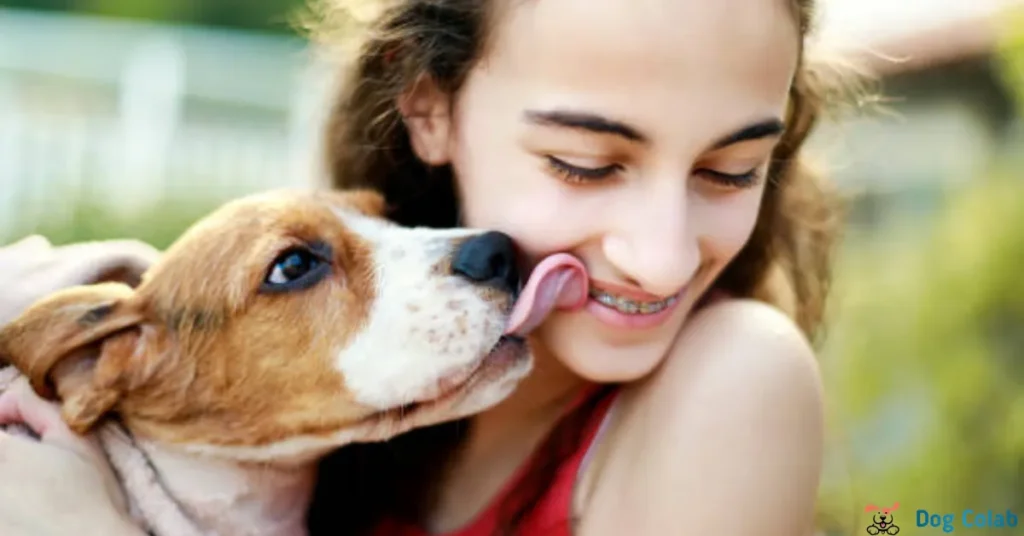 what happens if a dog licks inside your mouth
