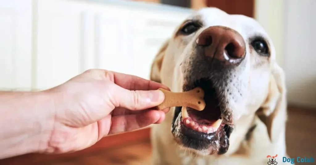 why do dogs like milk bones so much
