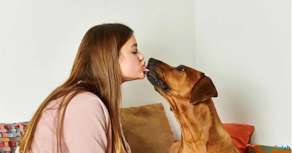 why does my dog lick inside my mouth